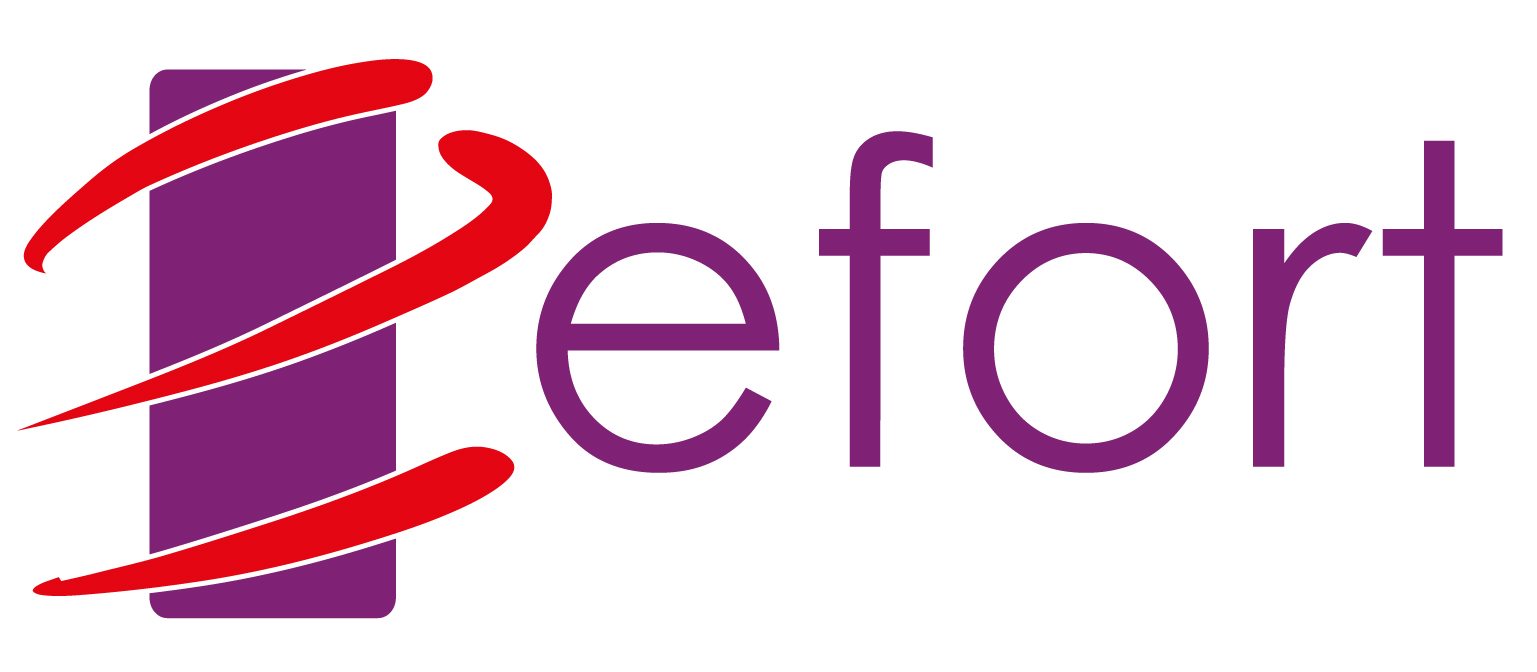 Efort logo
